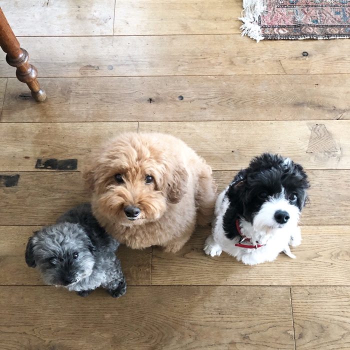 Masaki's diary ページ 16